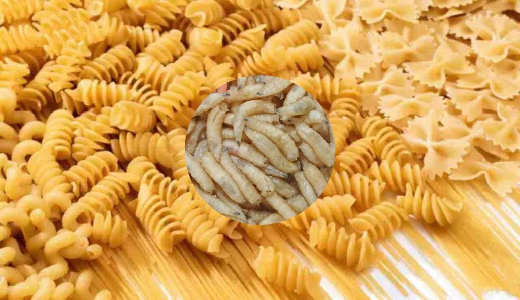 Pasta e insetti (Depositphotos foto) - www.energycue.it