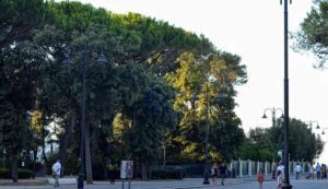 Alberi in città (Depositphotos foto) - www.energycue.it