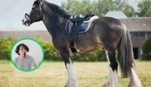 Cavallo gigante