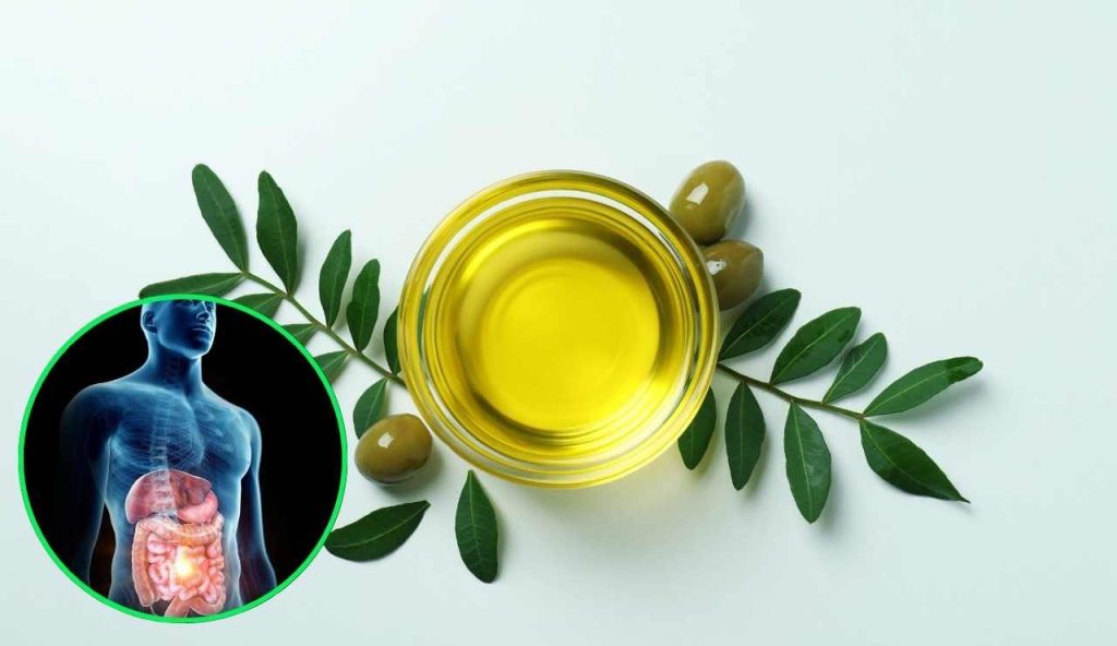 Olio e intestino