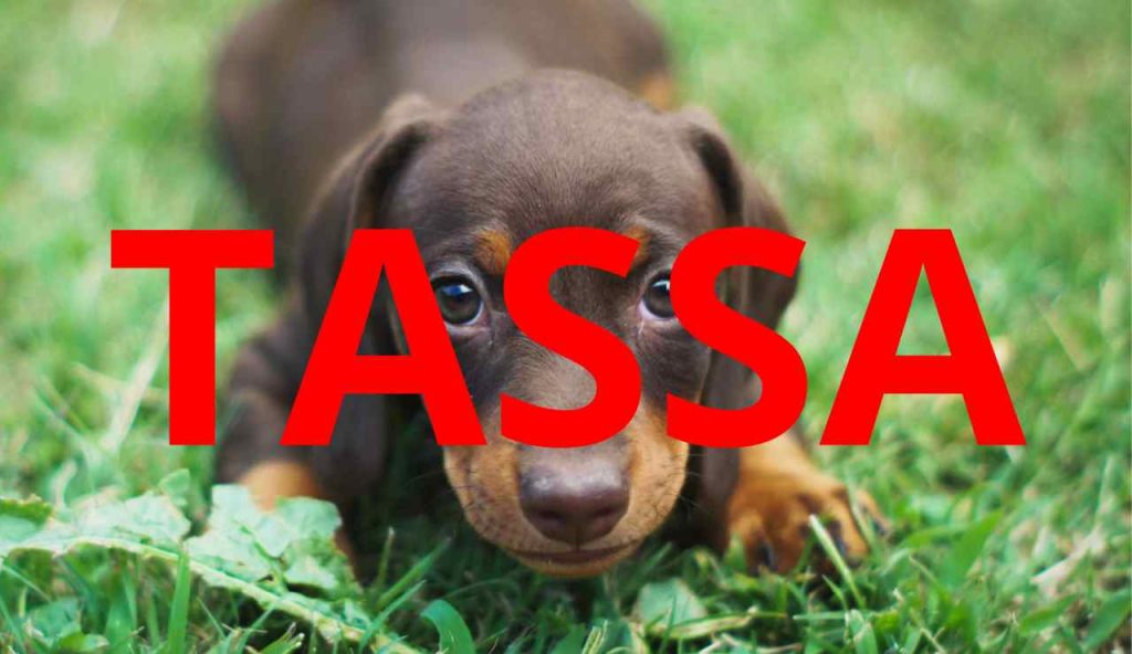 Tassa