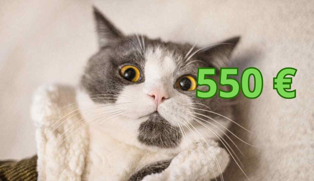 550 pet