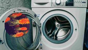 Lavatrice e batteri (Pixabay foto) - www.energycue.it