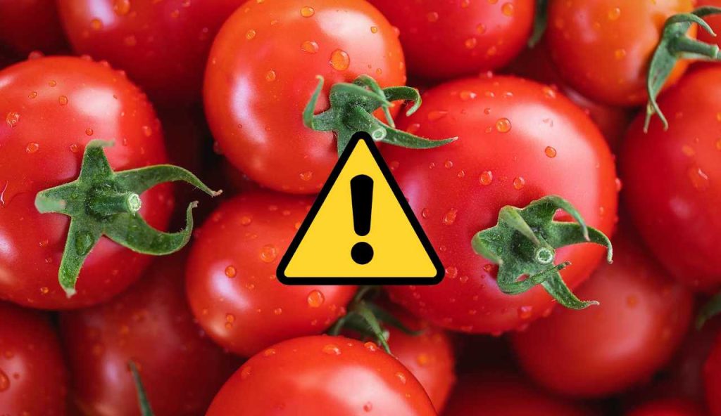 Pomodori (Pixabay foto) - www.energycue.it
