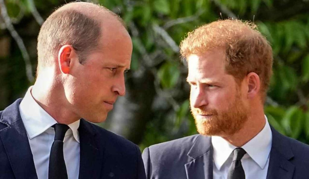 William e Harry