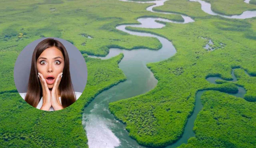 Veduta aerea dell'Amazzonia (Depositphotos foto) - www.energycue.it