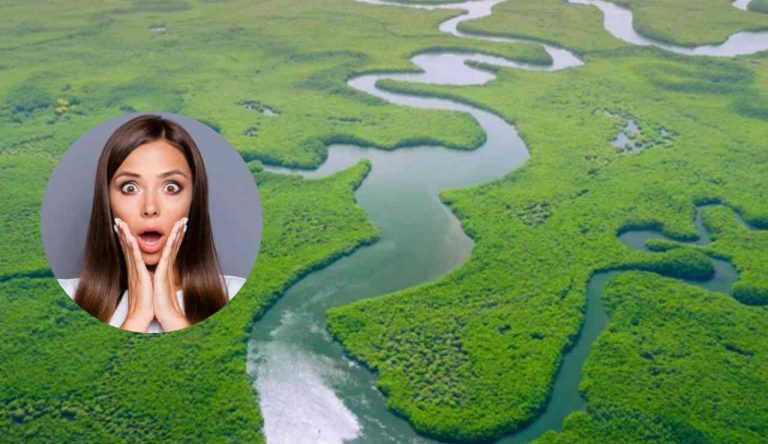 Ikadauria onlyfans i enjoyed my bath, she wiped me off and