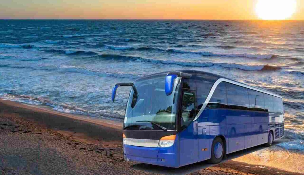 Bus mare
