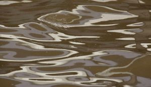 Acqua sporca