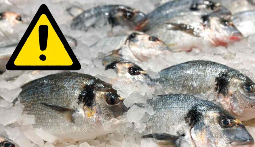Allarme sul consumo di pesce