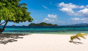Illustrazione di un posto paradisiaco (Canva FOTO) - energycue.it