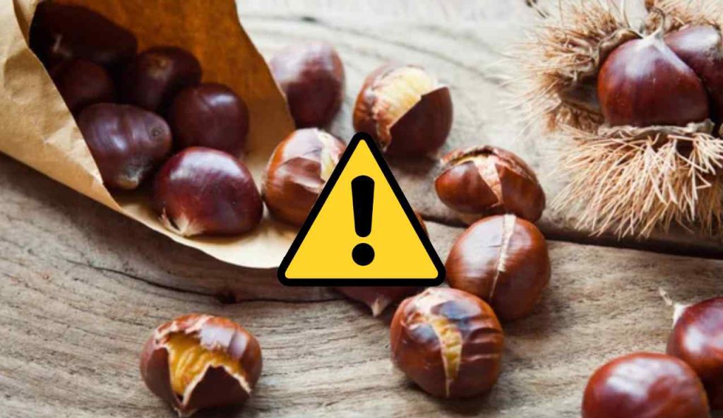 Castagne e pericoli (Depositphotos foto) - www.energycue.it