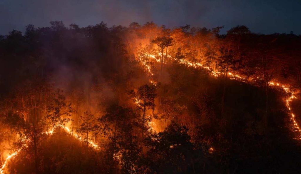 Incendio in Amazzonia (ScienceDaily foto) - www.energycue.it