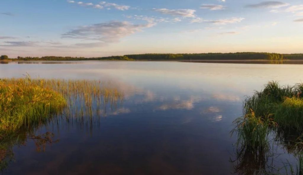 Lago