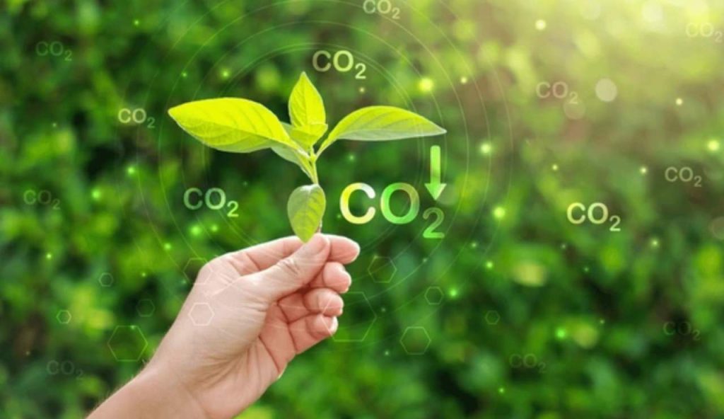 Risparmi sulla CO2