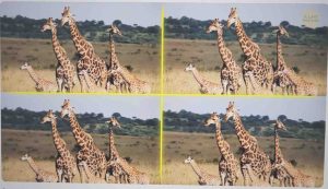 Tu sai la soluzione?