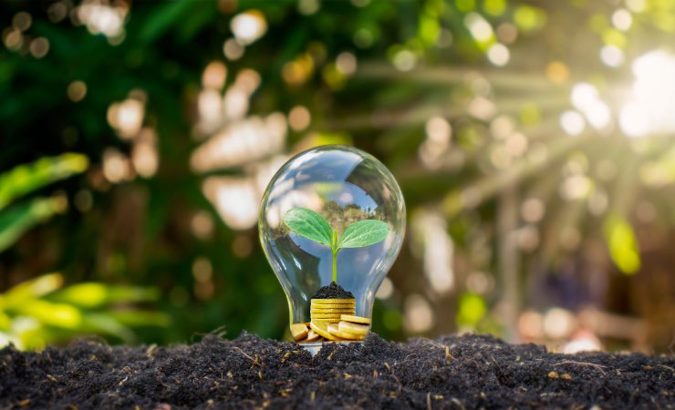 Per un futuro più roseo